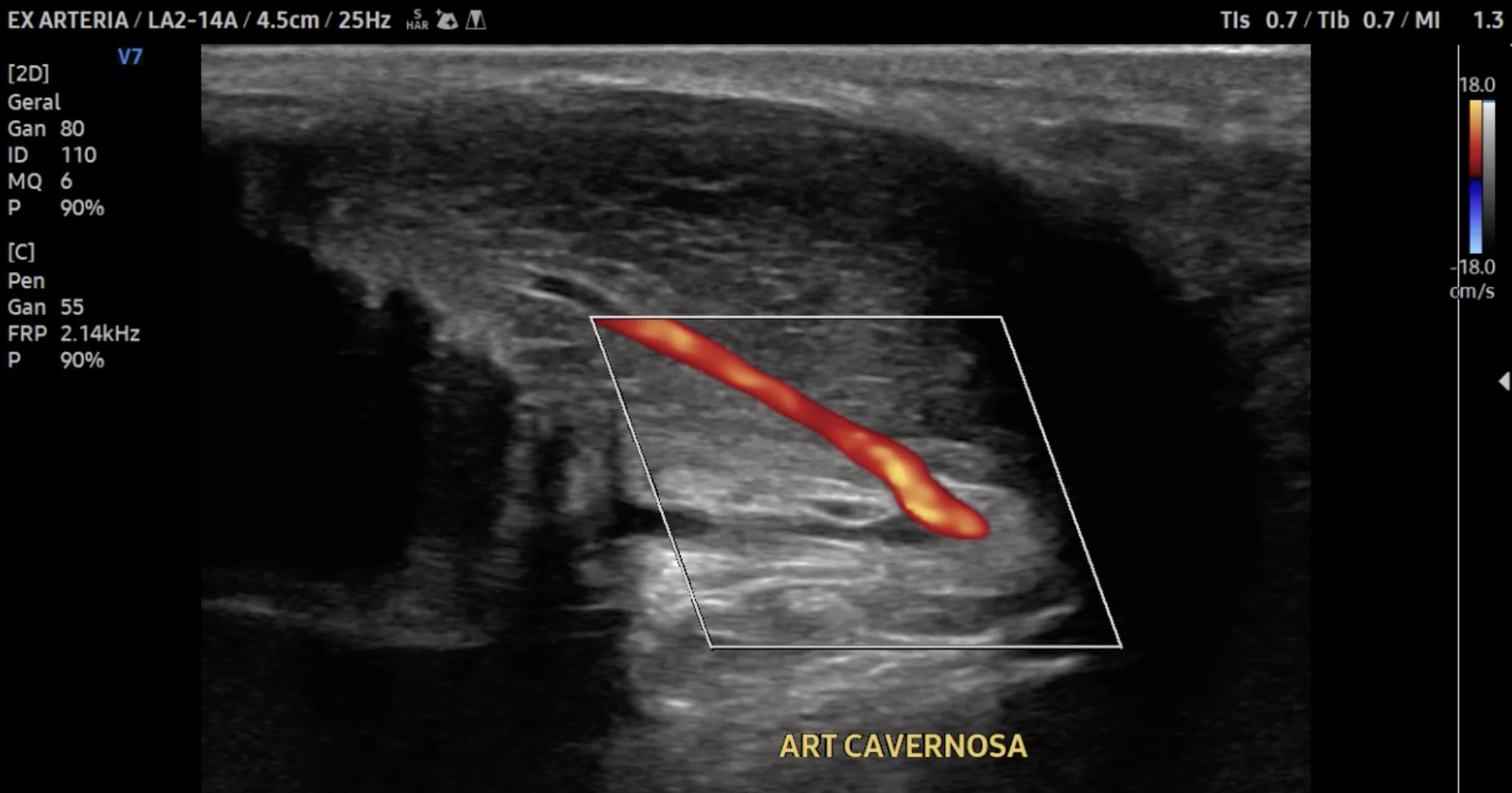 Captura de Tela 2024-10-01 às 21.52.17